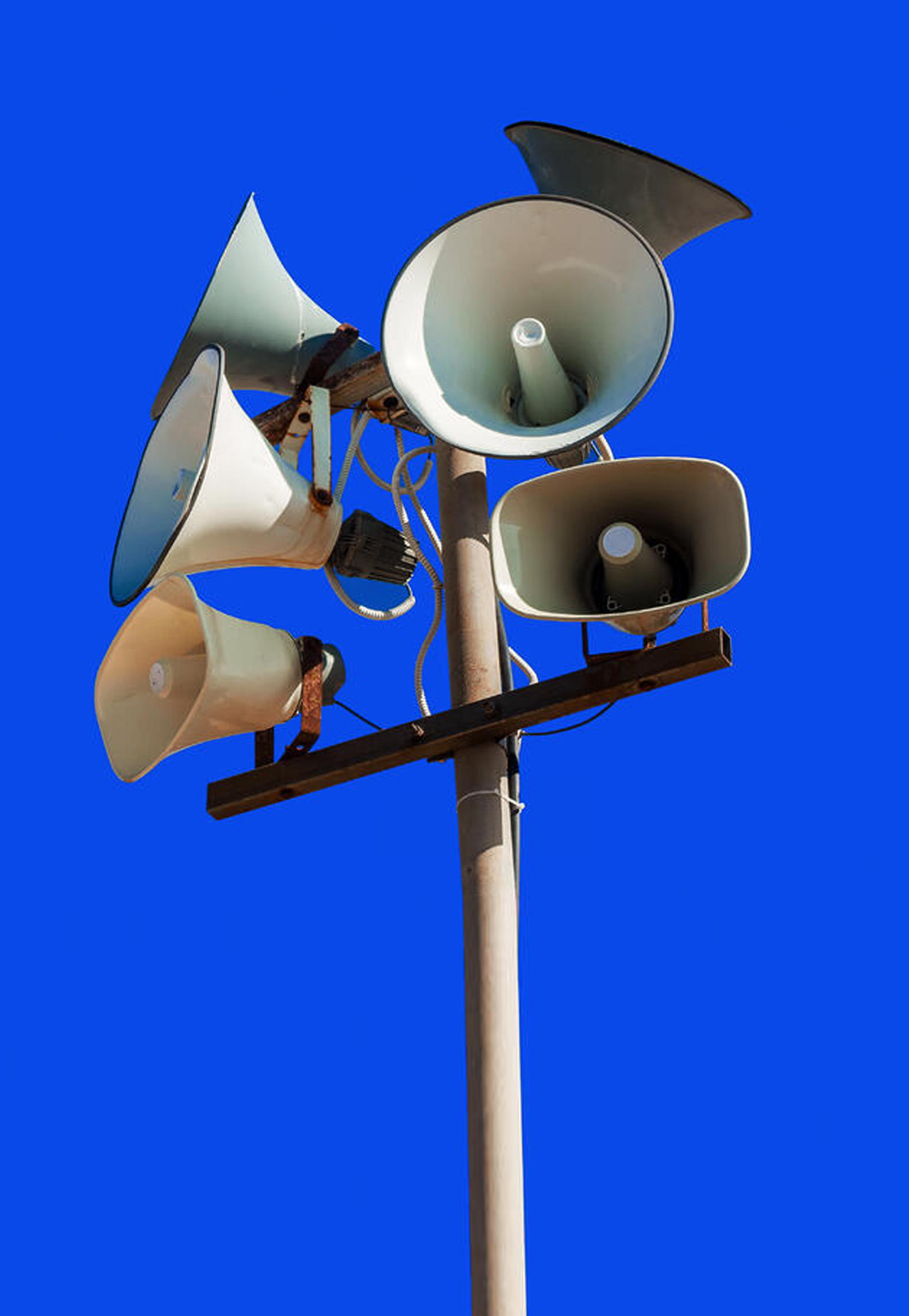 Human behavior in a crisis: confirmation bias